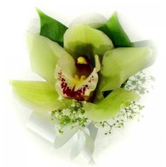 Бутоньерка Ф5965