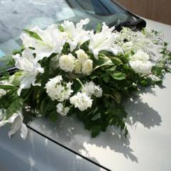 Салон цветов Белая орхидея в Омске